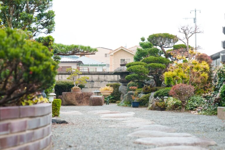 河口湖駅から徒歩5分「和がと」NEW OPEN