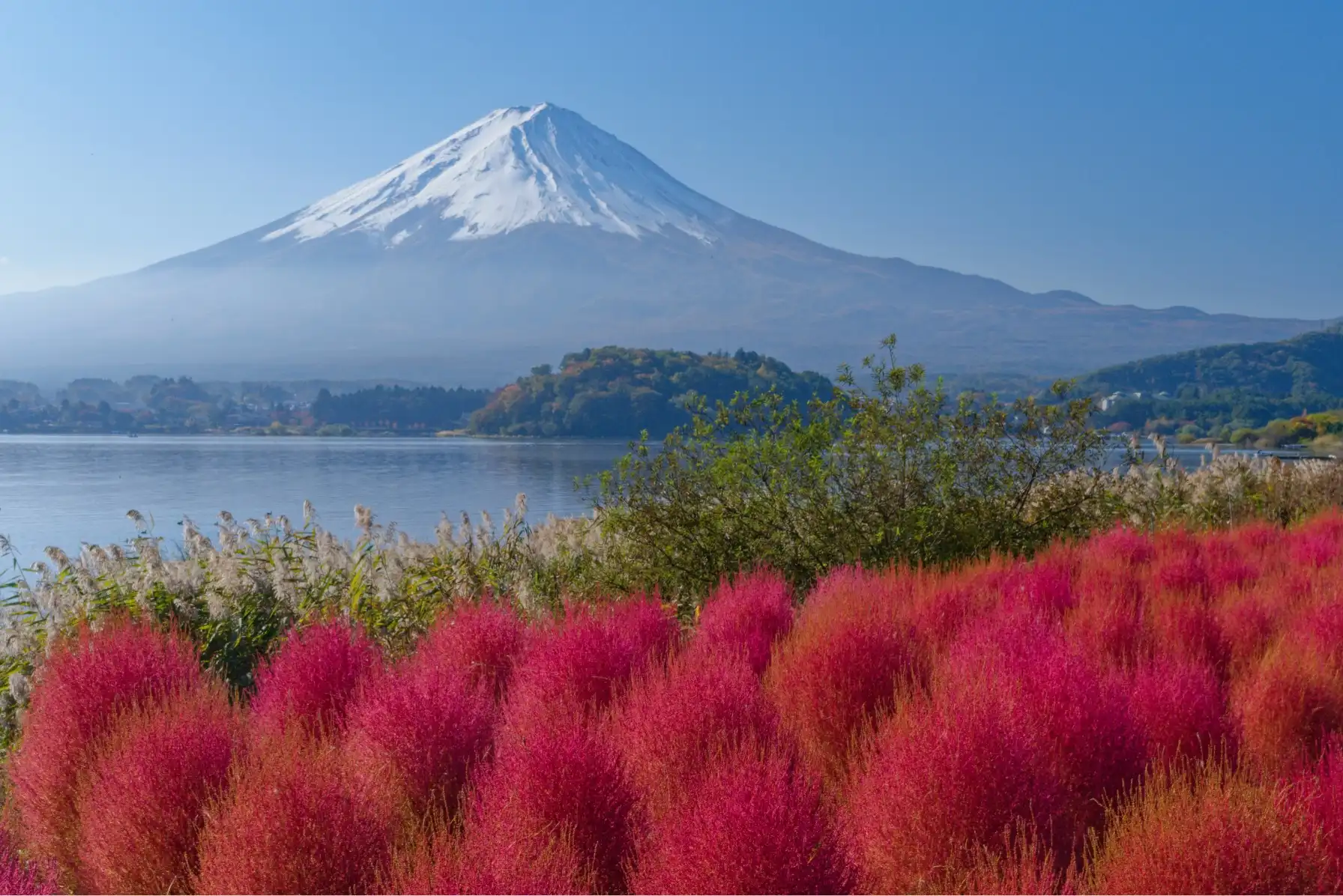 河口湖と富士山