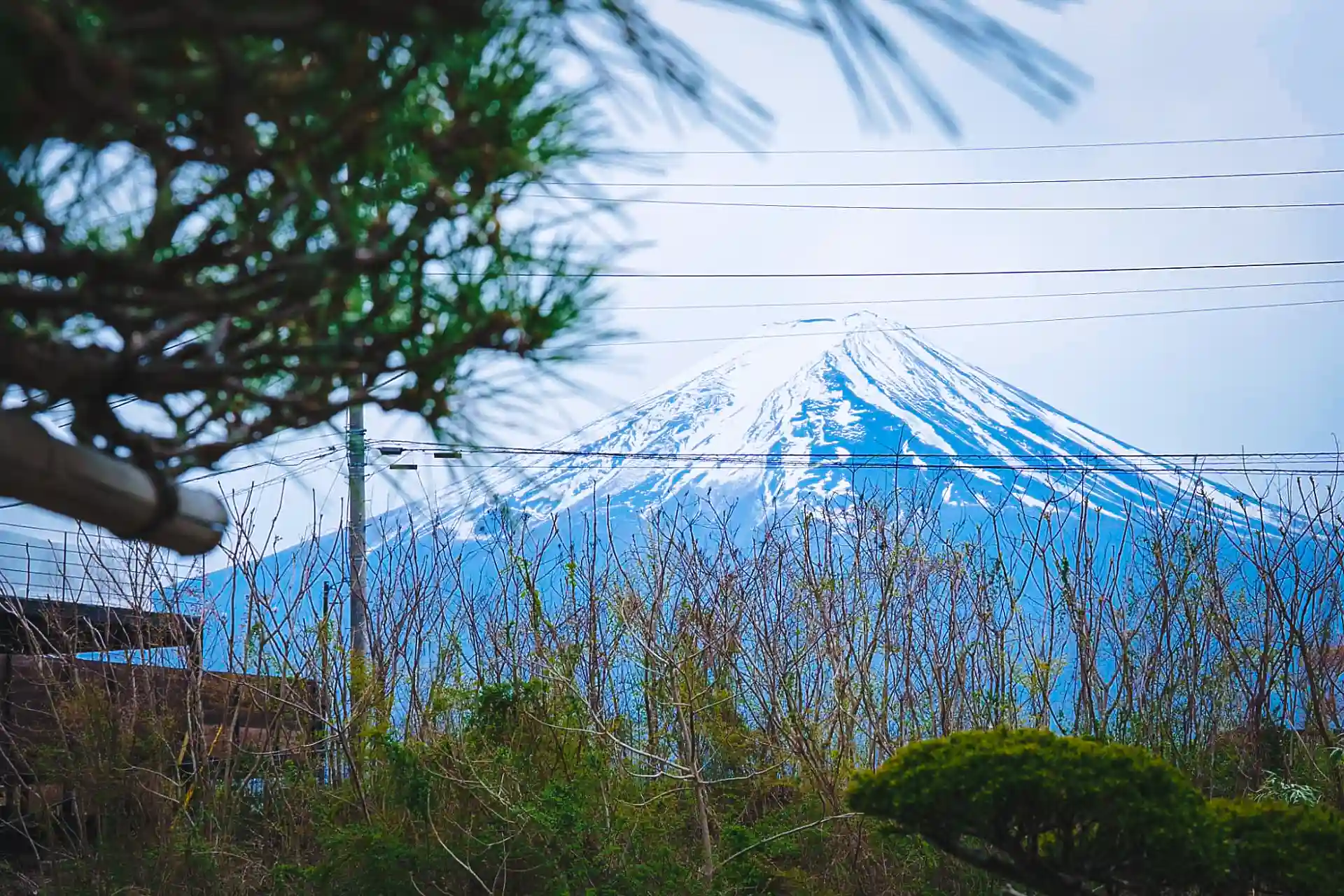 富士山ビュー・庭園